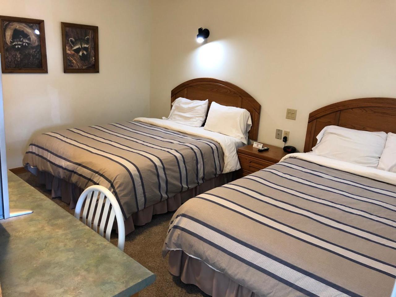 Village Inn Motel Chatham Ngoại thất bức ảnh